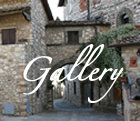 Galleria Fotografica Guardiola e Canonica